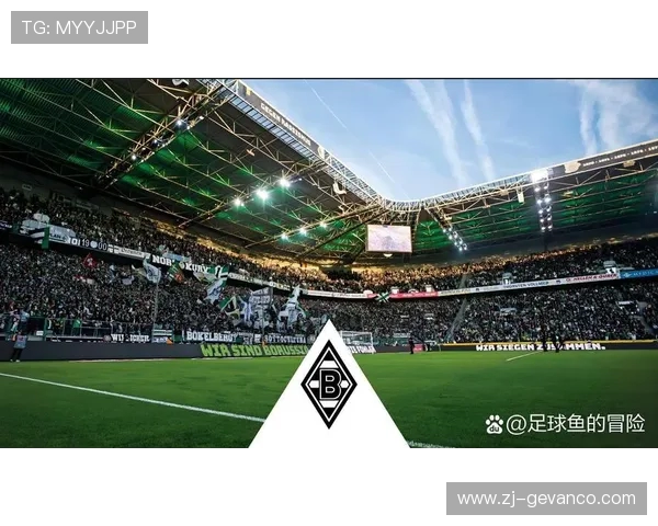 “爱足球的小美”是德甲哪支球队的忠实球迷分析