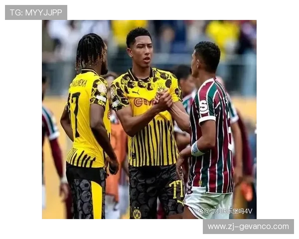 逆袭传奇：2017年成功晋级法甲的三支黑马球队全解析